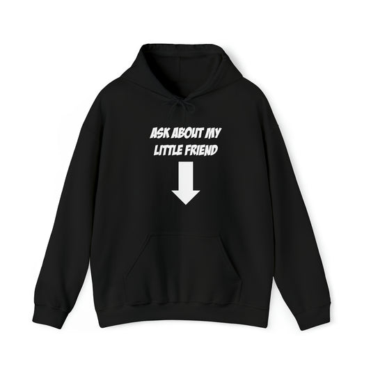 ASK ABOUT MY LITTLE FRIEND HOODIE