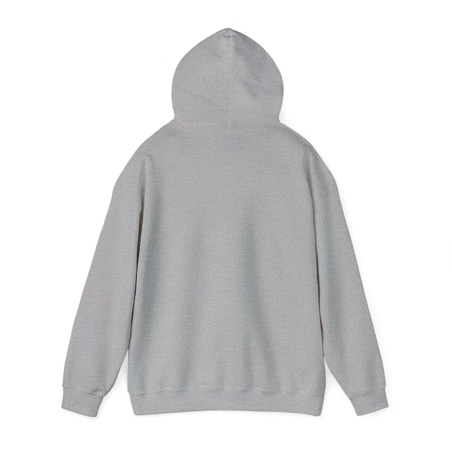 HOELESS HOODIE