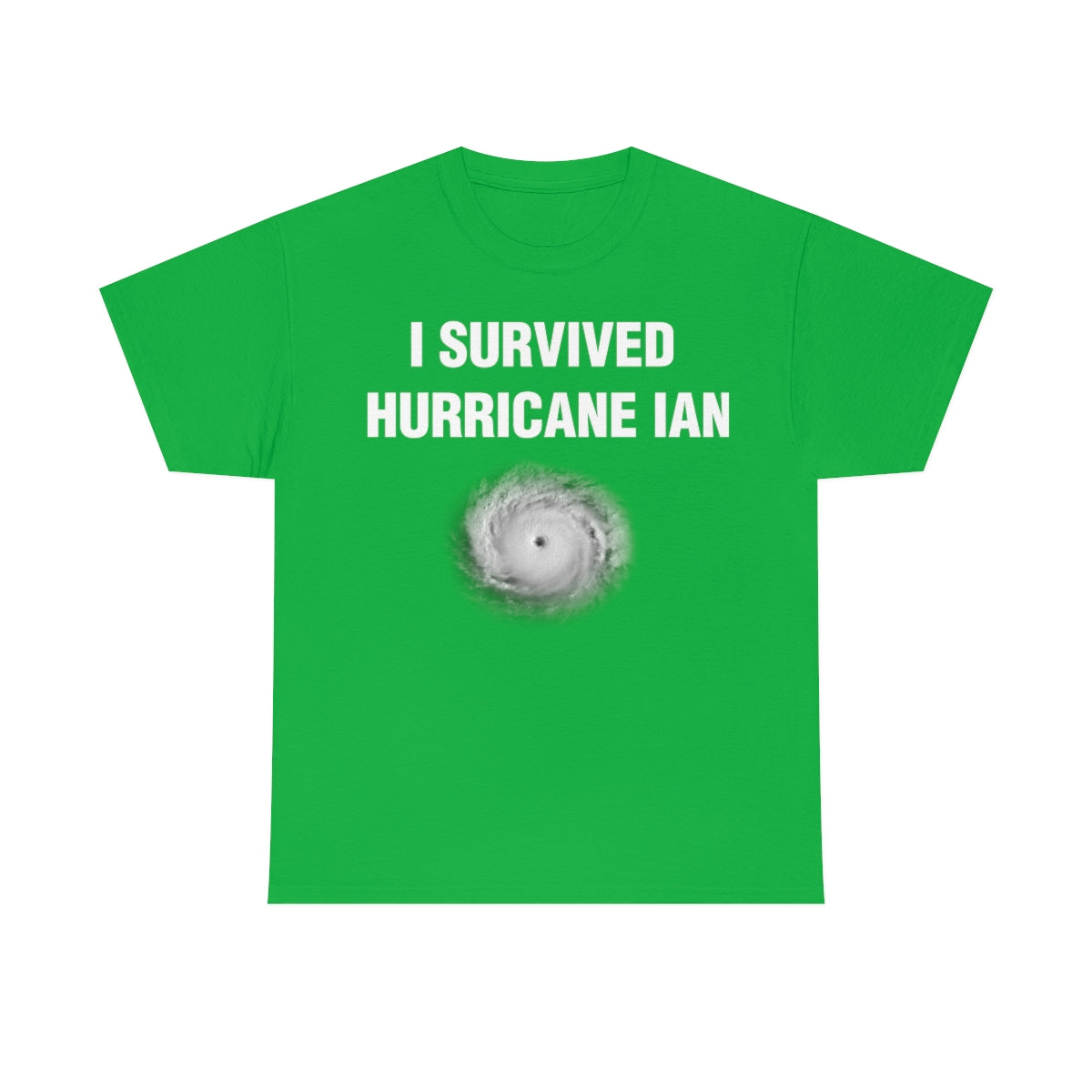 I SURVIVED HURRICANE IAN TEE