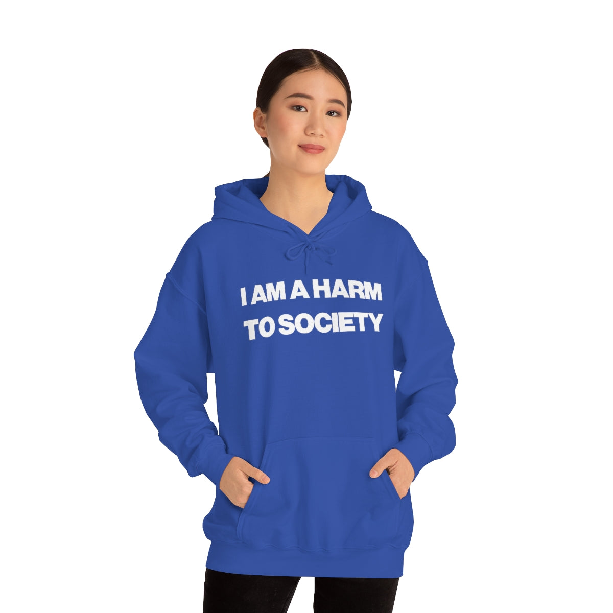 I AM A HARM TO SOCIETY HOODIE