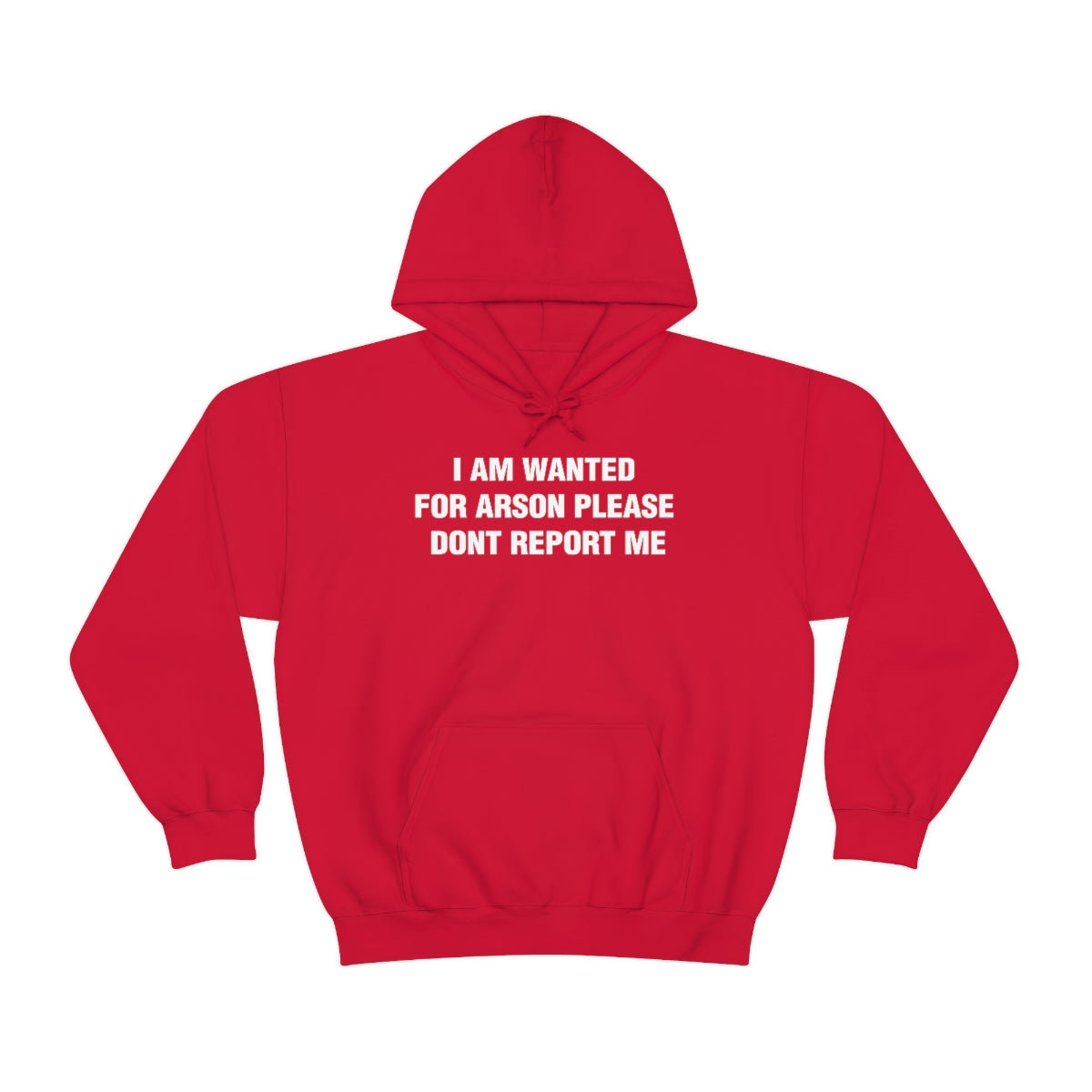 I AM WANTED  FOR ARSON PLEASE  DONT REPORT ME HOODIE