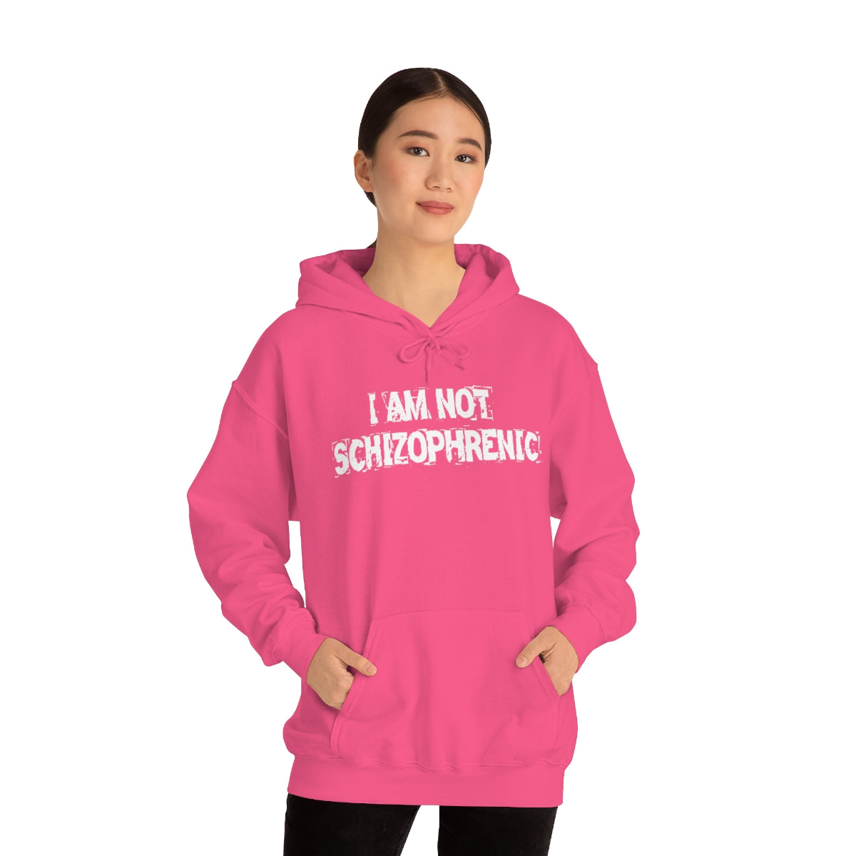 I AM NOT SCHIZOPHRENIC HOODIE