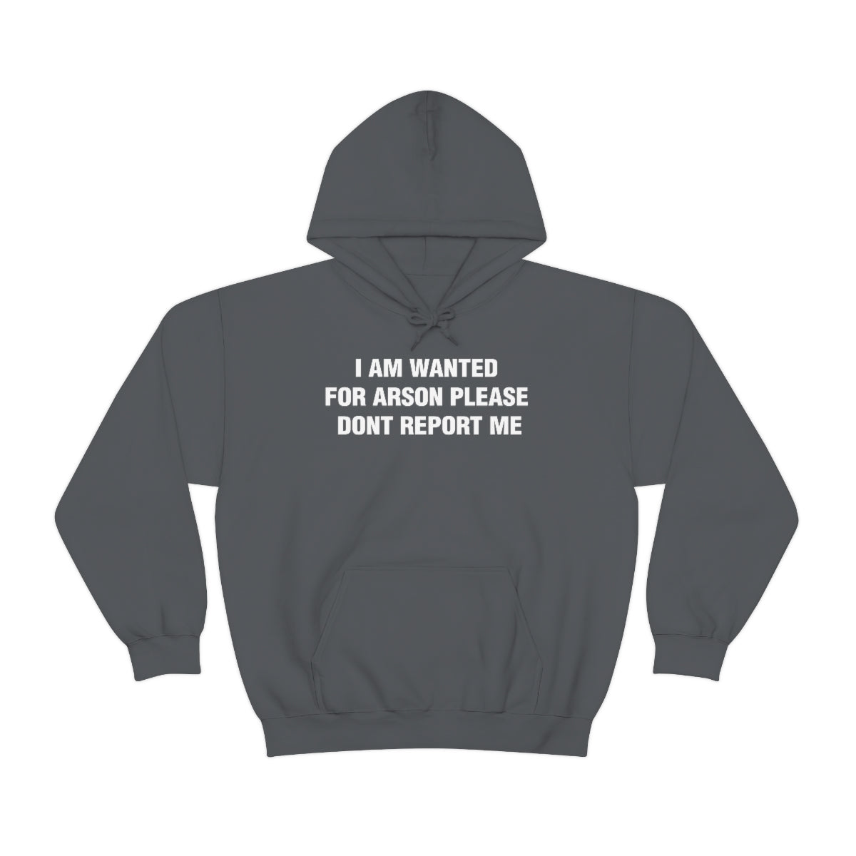 I AM WANTED  FOR ARSON PLEASE  DONT REPORT ME HOODIE