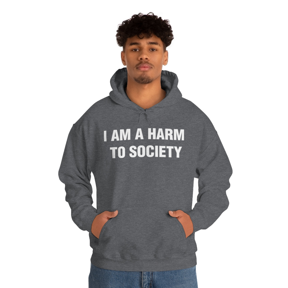 I AM A HARM  TO SOCIETY HOODIE