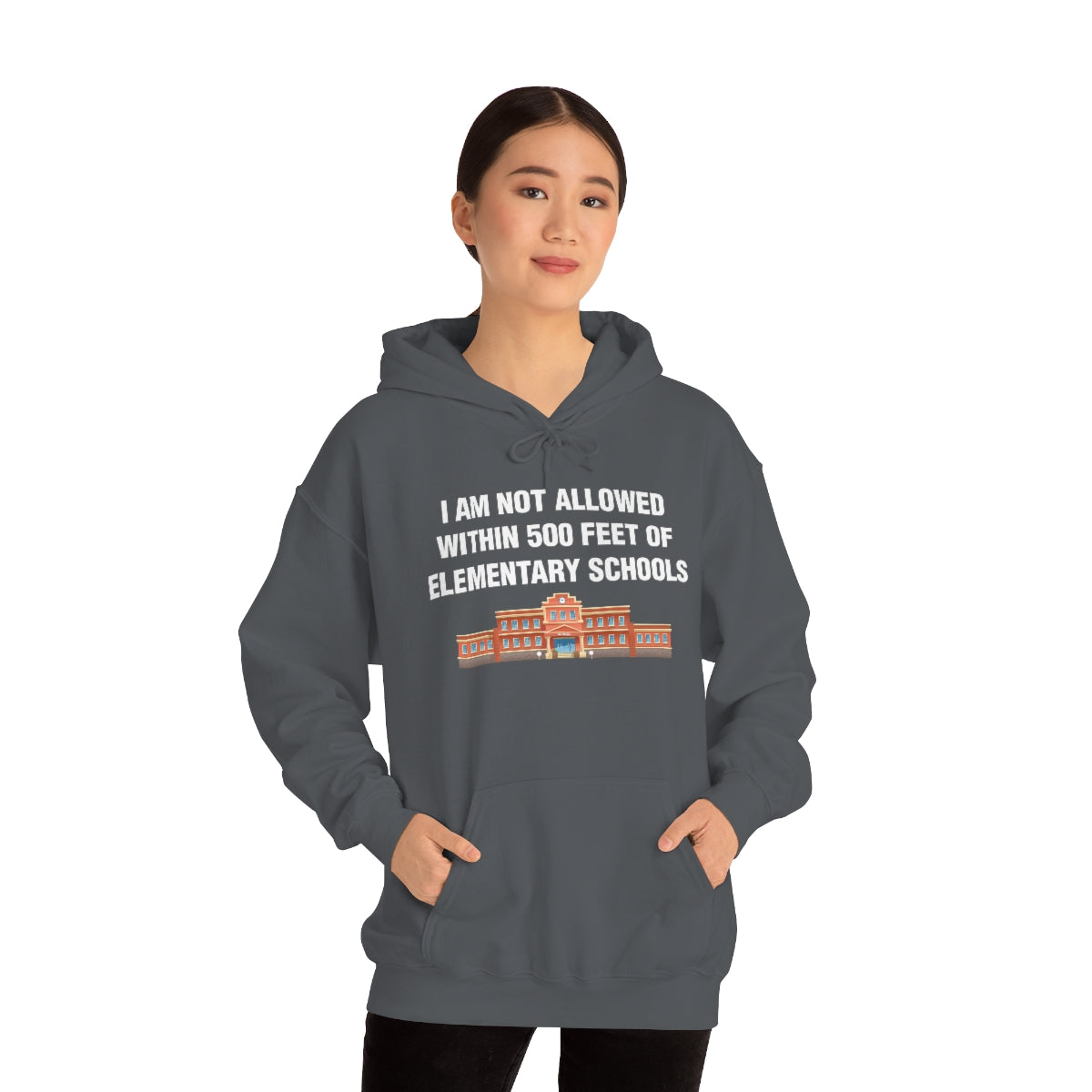 I AM NOT ALLOWED WITHIN 500 FEET OF ELEMENTARY SCHOOLS HOODIE