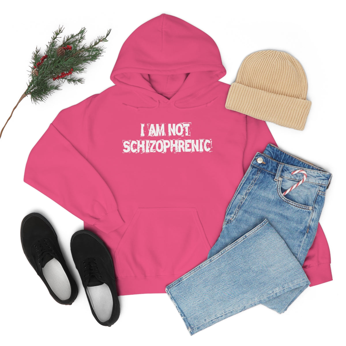 I AM NOT SCHIZOPHRENIC HOODIE