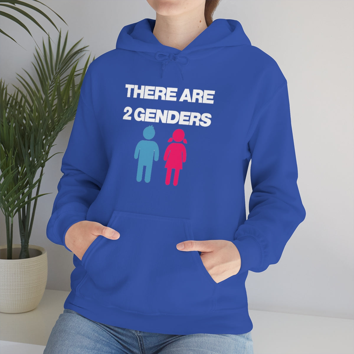 THERE ARE 2 GENDERS HOODIE