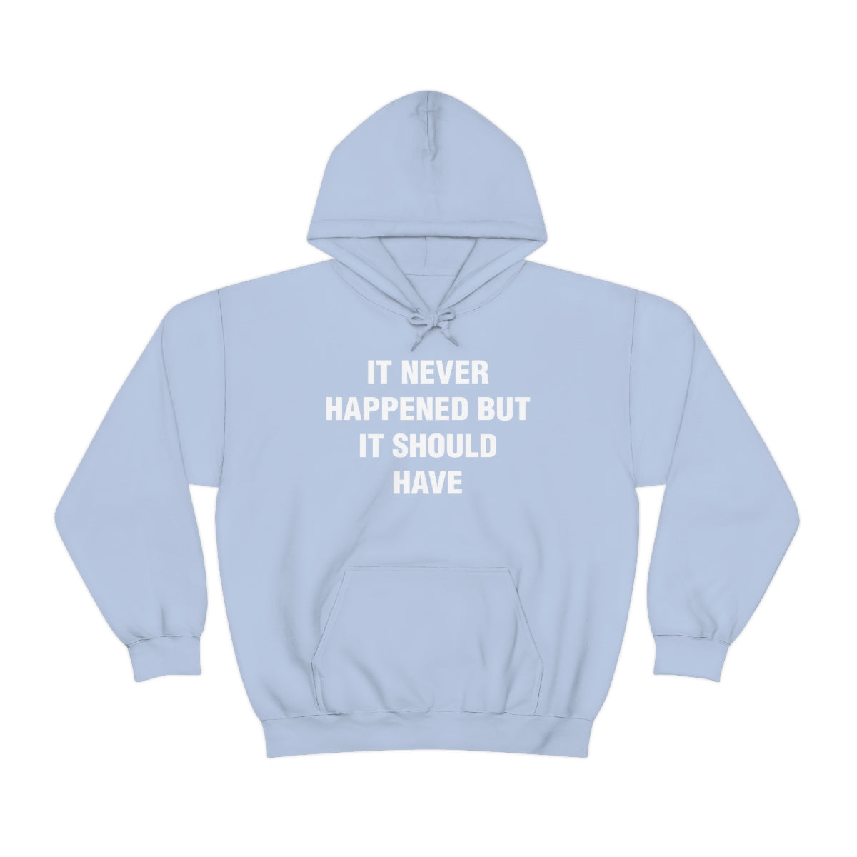 IT NEVER HAPPENED BUT IT SHOULD HAVE HOODIE