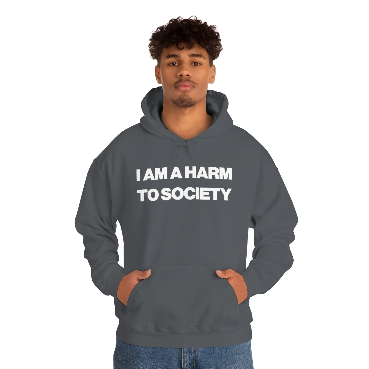 I AM A HARM TO SOCIETY HOODIE