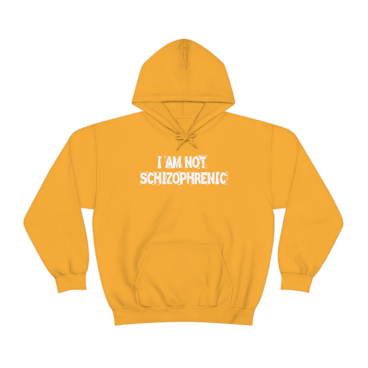 I AM NOT SCHIZOPHRENIC HOODIE