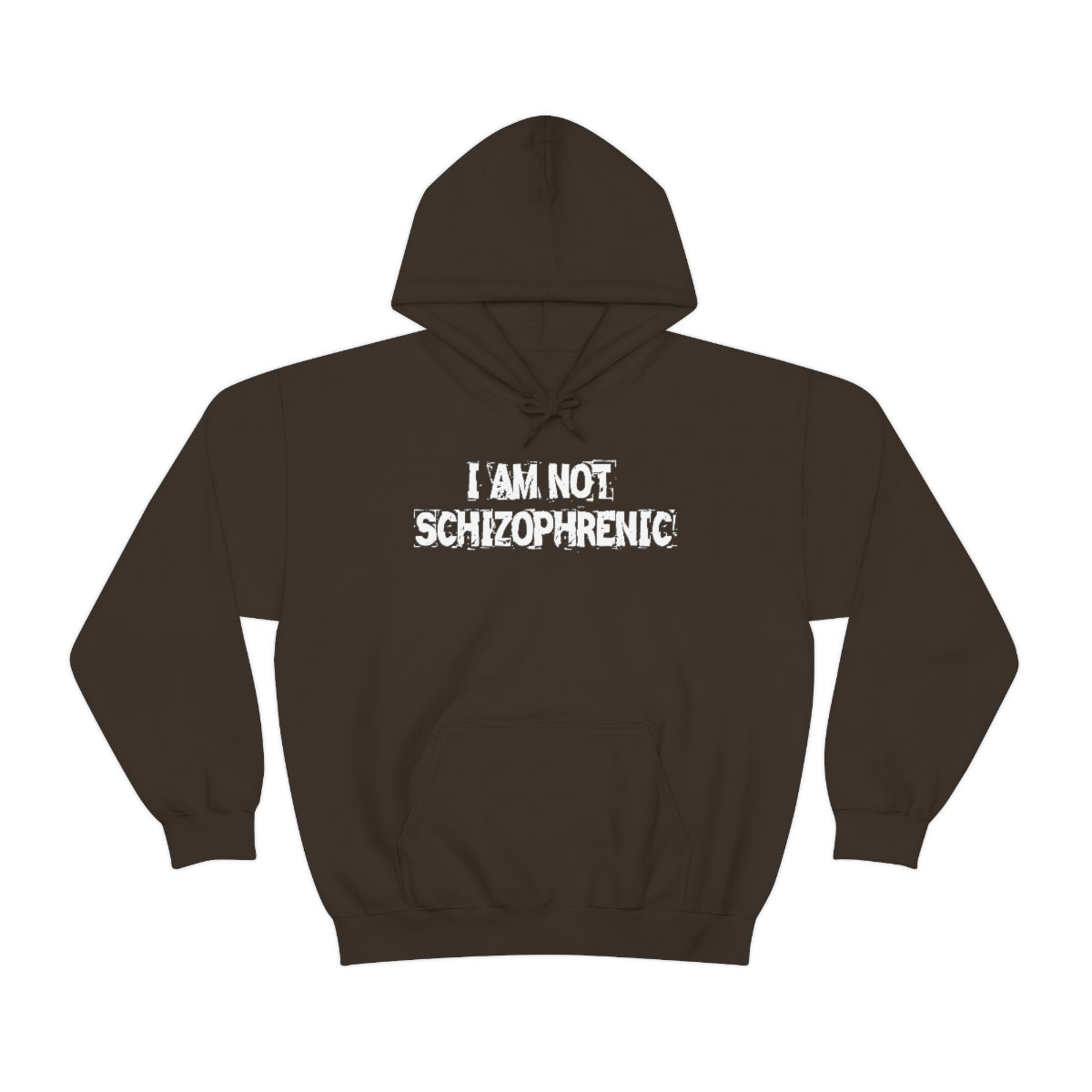 I AM NOT SCHIZOPHRENIC HOODIE