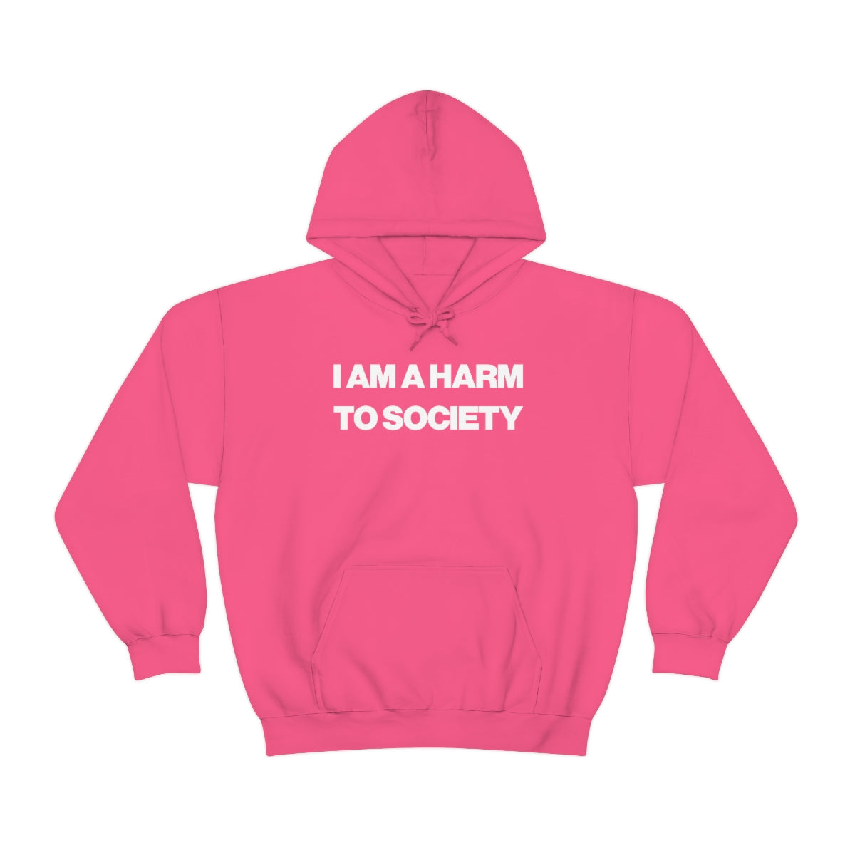 I AM A HARM TO SOCIETY HOODIE