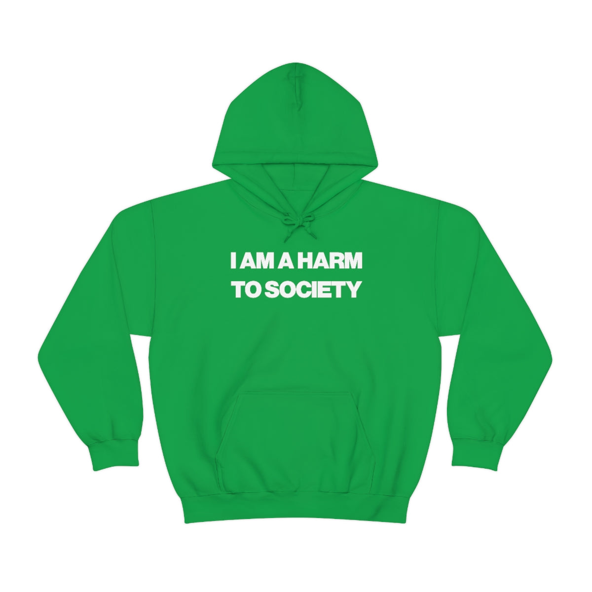 I AM A HARM TO SOCIETY HOODIE