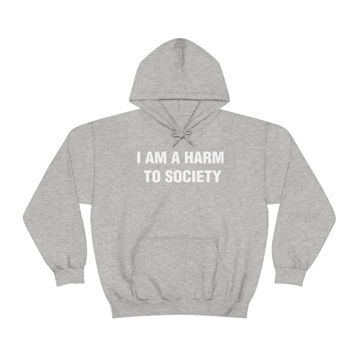 I AM A HARM  TO SOCIETY HOODIE