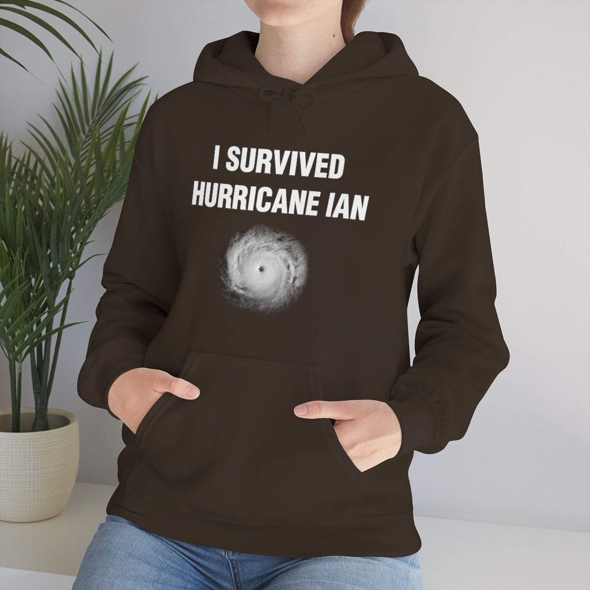 I SURVIVED HURRICANE IAN HOODIE