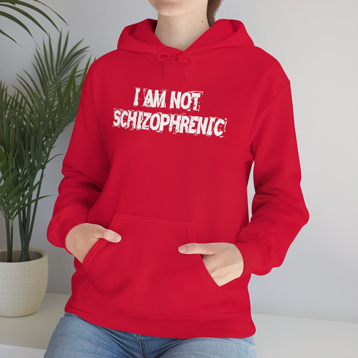 I AM NOT SCHIZOPHRENIC HOODIE