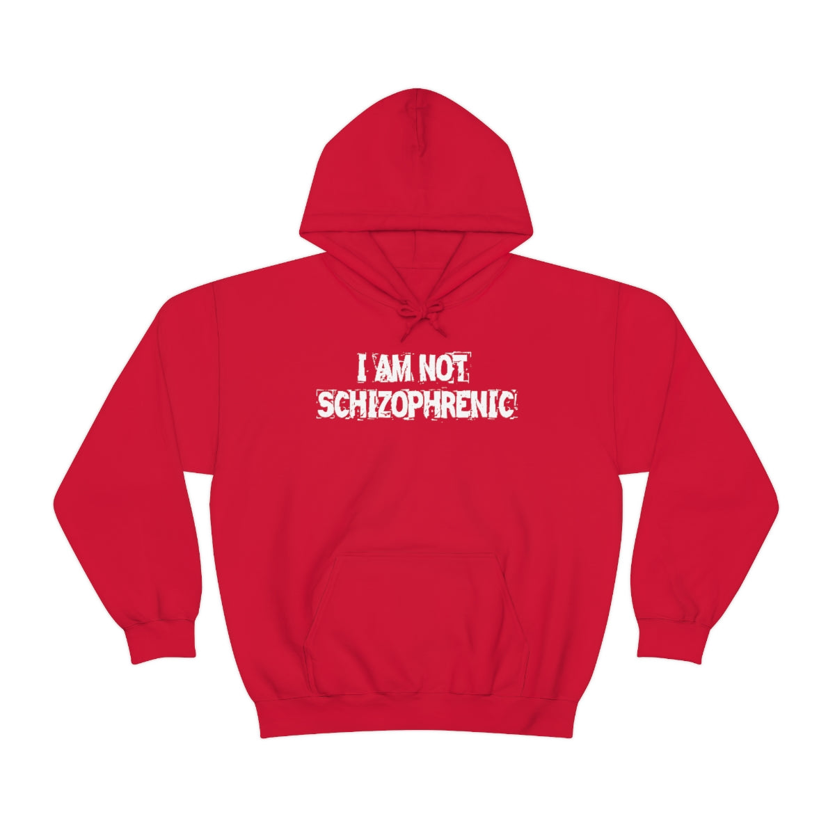 I AM NOT SCHIZOPHRENIC HOODIE