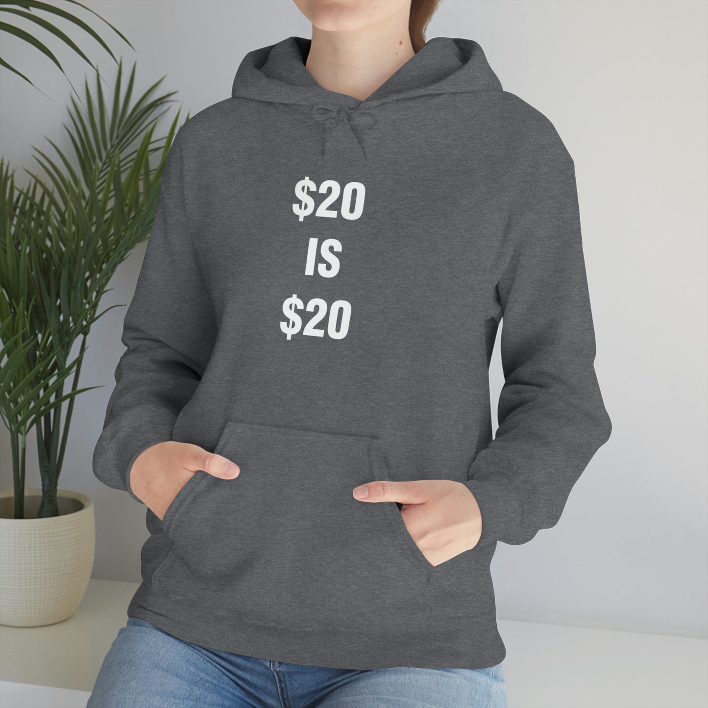 $20 IS $20 HOODIE