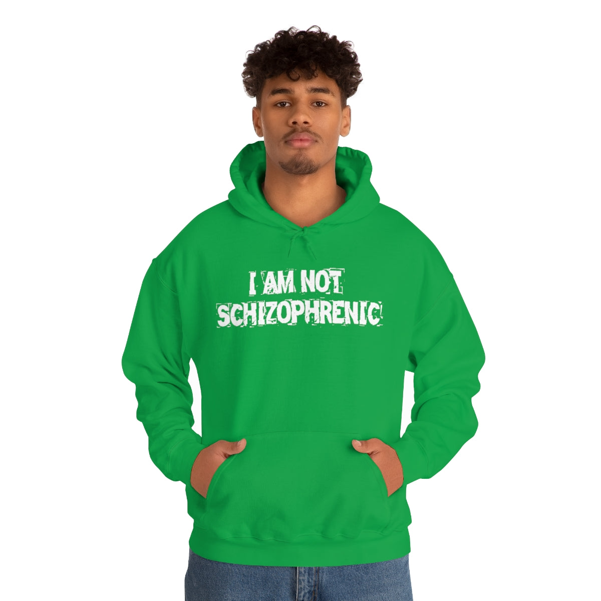 I AM NOT SCHIZOPHRENIC HOODIE