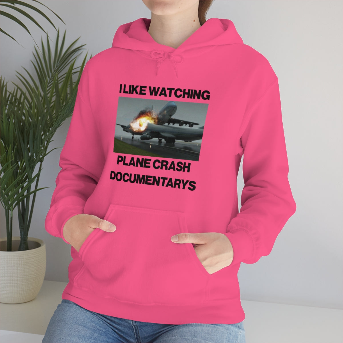 I LIKE WATCHING PLANE CRASH DOCUMENTARYS HOODIE