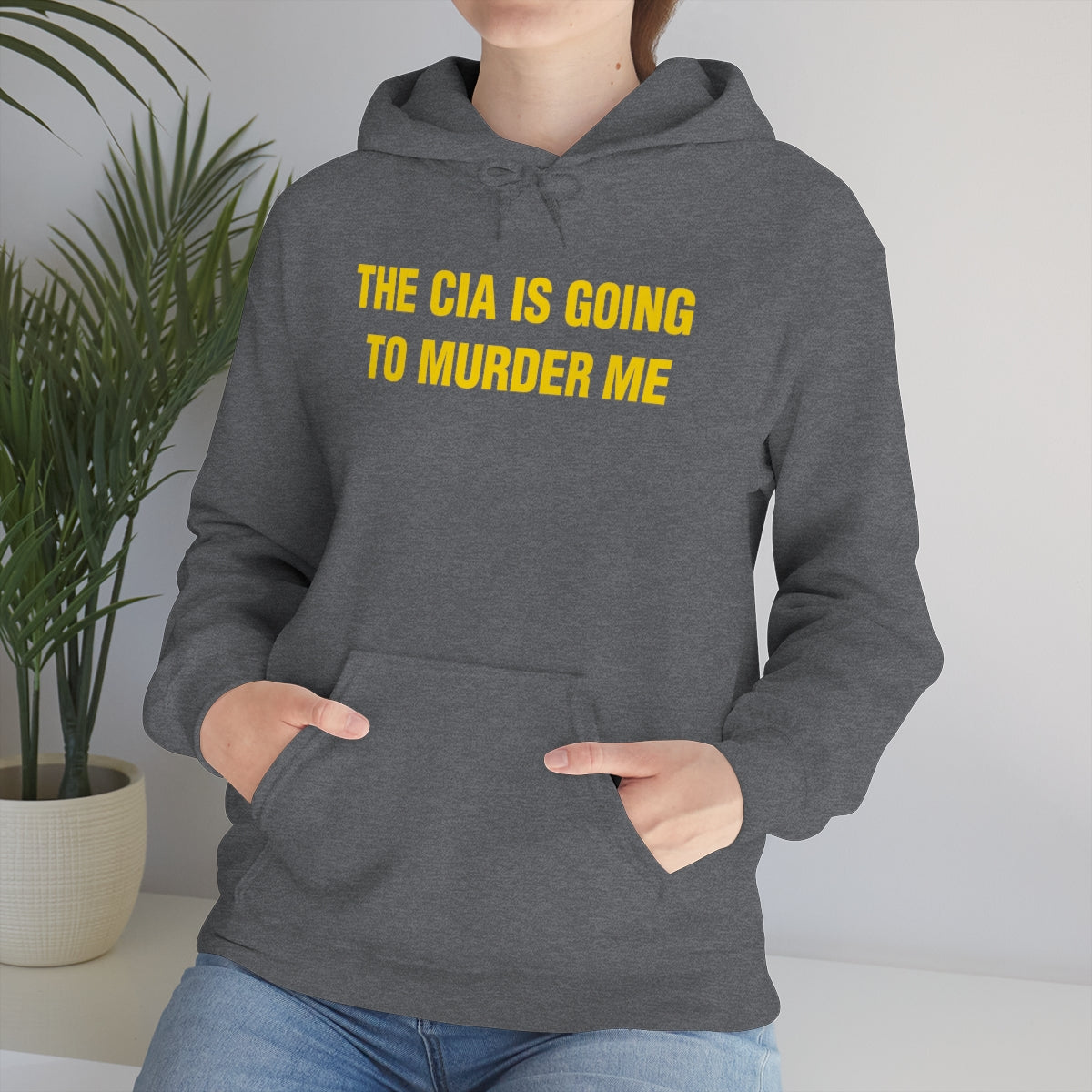 THE CIA IS GOING  TO MURDER ME HOODIE