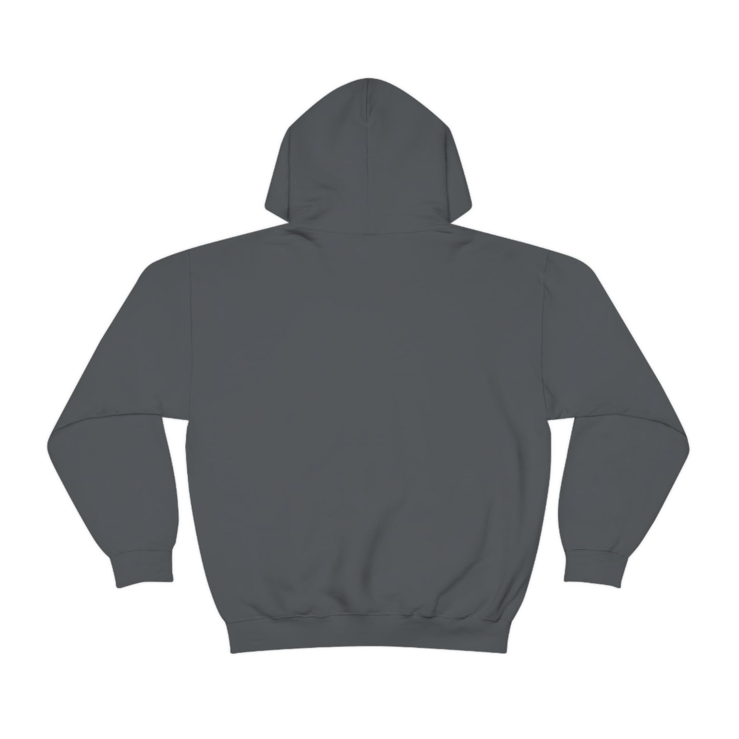 RAISE THE WAGE GAP HOODIE