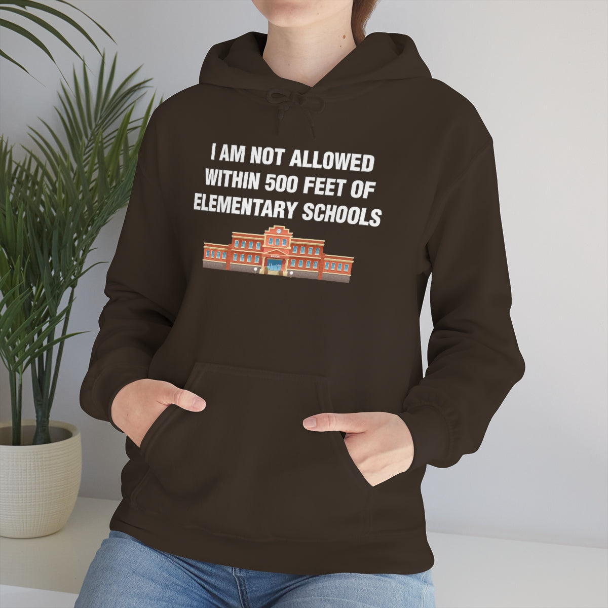 I AM NOT ALLOWED WITHIN 500 FEET OF ELEMENTARY SCHOOLS HOODIE