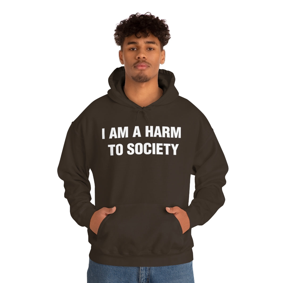 I AM A HARM  TO SOCIETY HOODIE