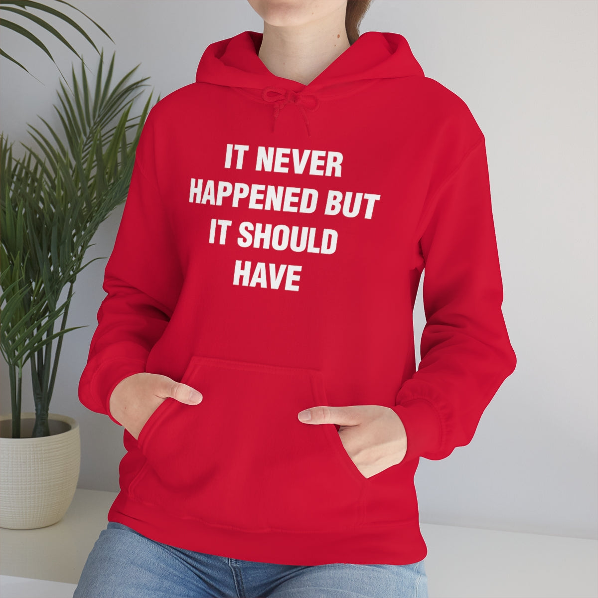 IT NEVER HAPPENED BUT IT SHOULD HAVE HOODIE