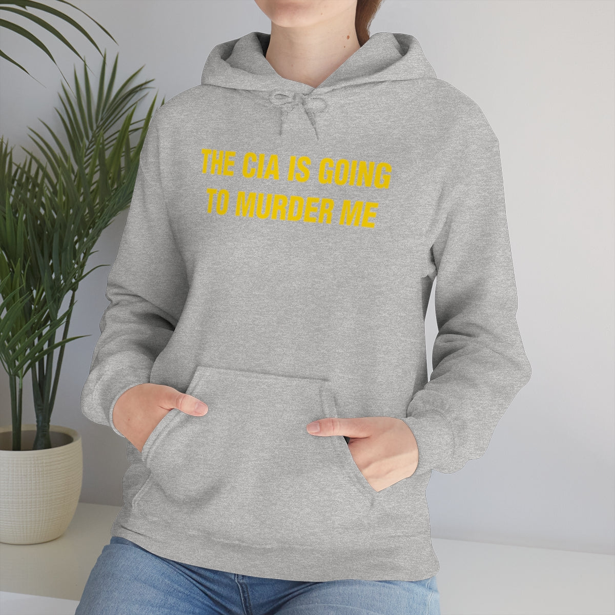 THE CIA IS GOING  TO MURDER ME HOODIE