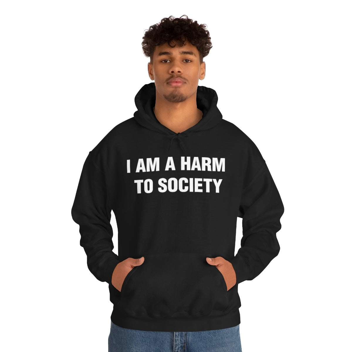 I AM A HARM  TO SOCIETY HOODIE