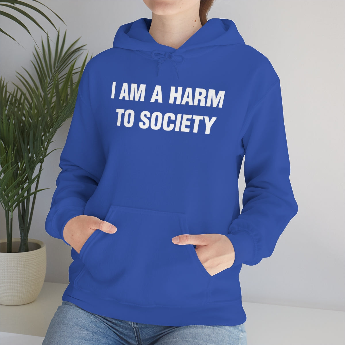 I AM A HARM  TO SOCIETY HOODIE