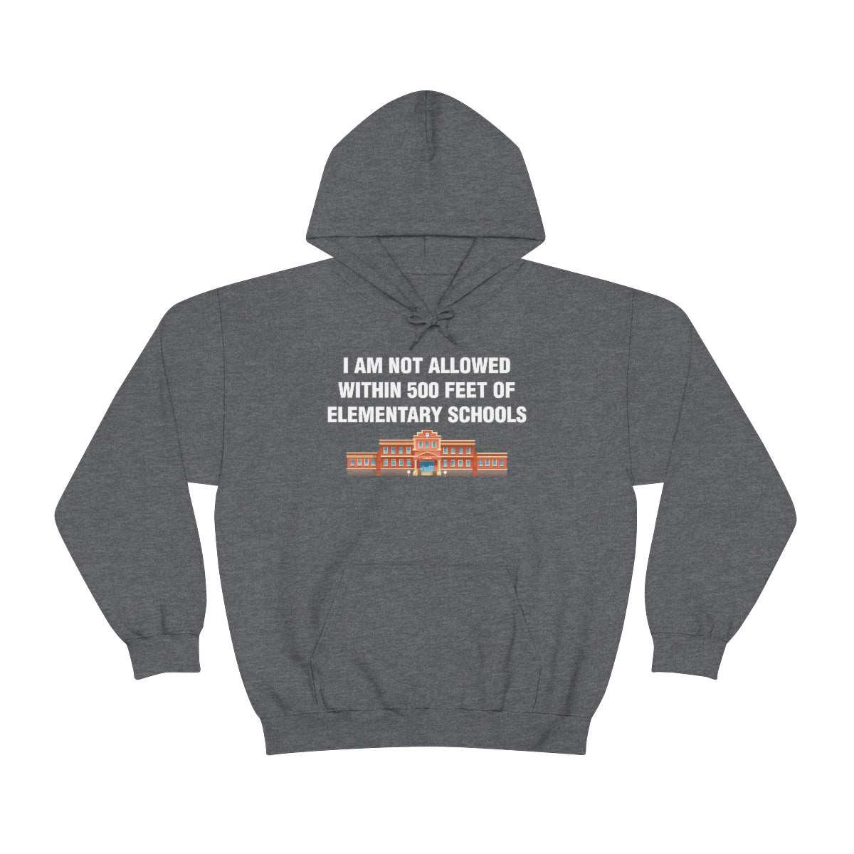 I AM NOT ALLOWED WITHIN 500 FEET OF ELEMENTARY SCHOOLS HOODIE