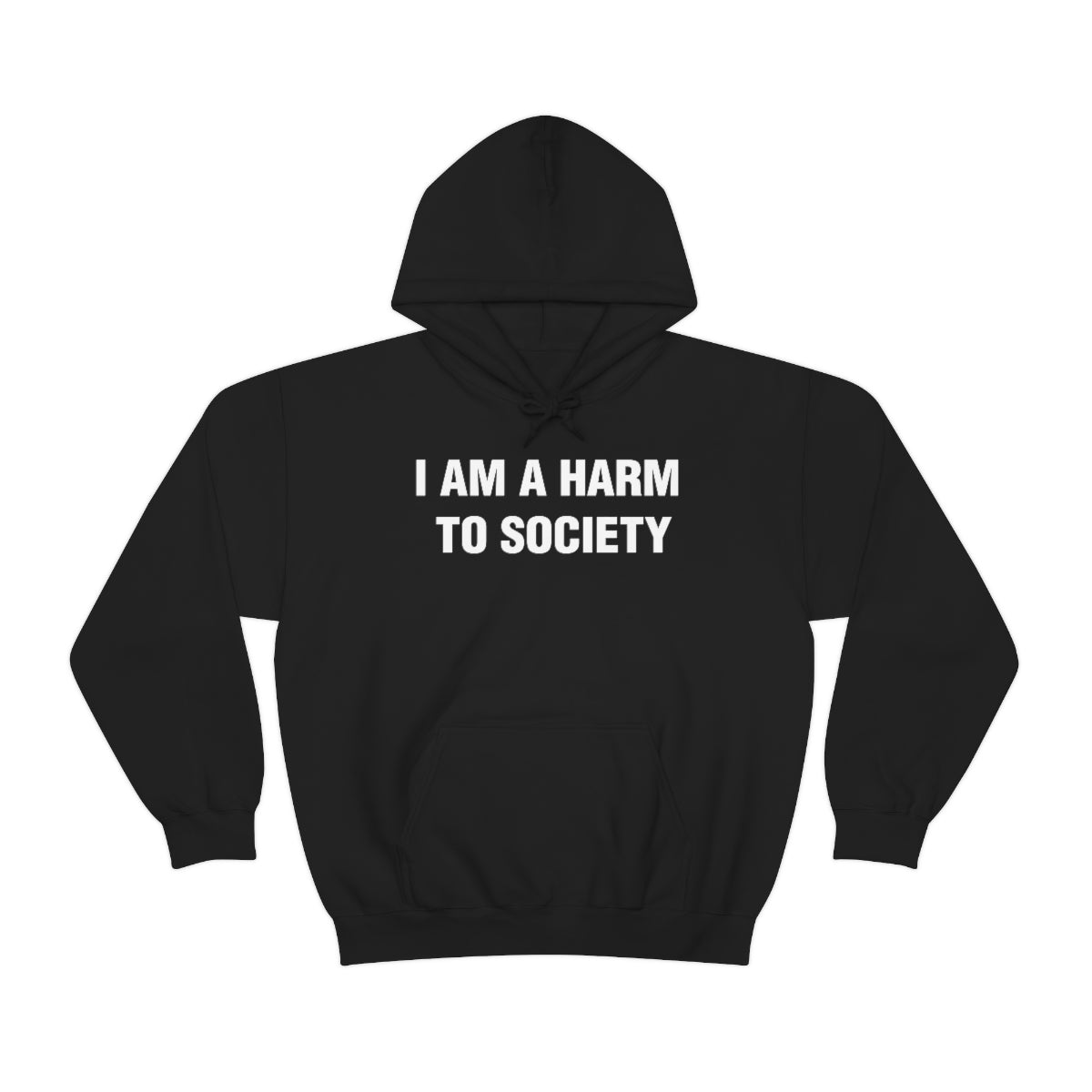 I AM A HARM  TO SOCIETY HOODIE