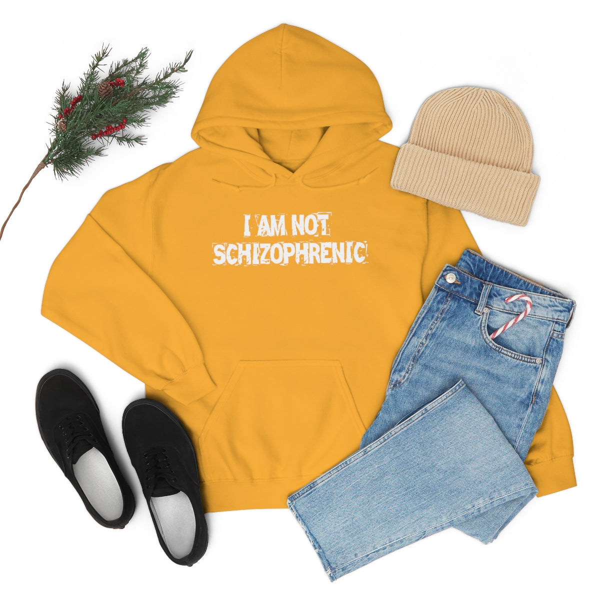 I AM NOT SCHIZOPHRENIC HOODIE