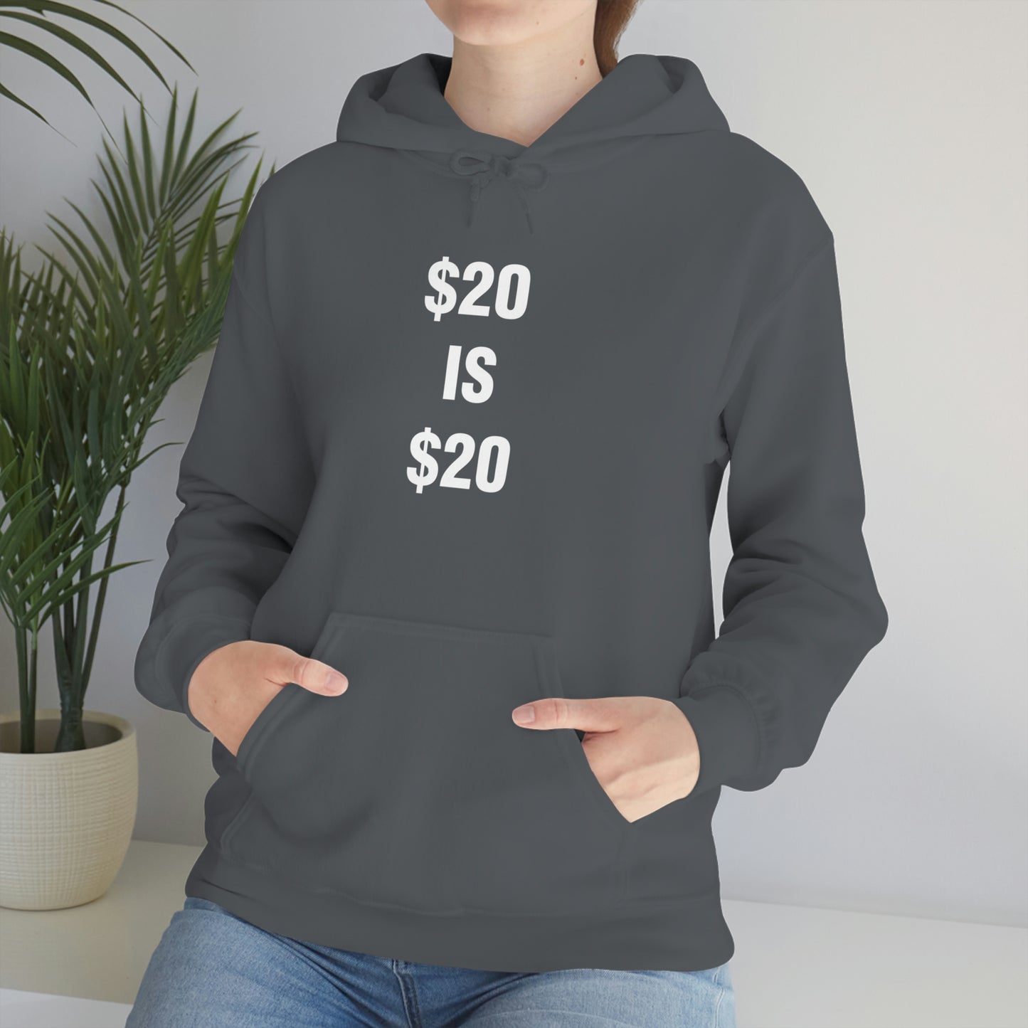 $20 IS $20 HOODIE