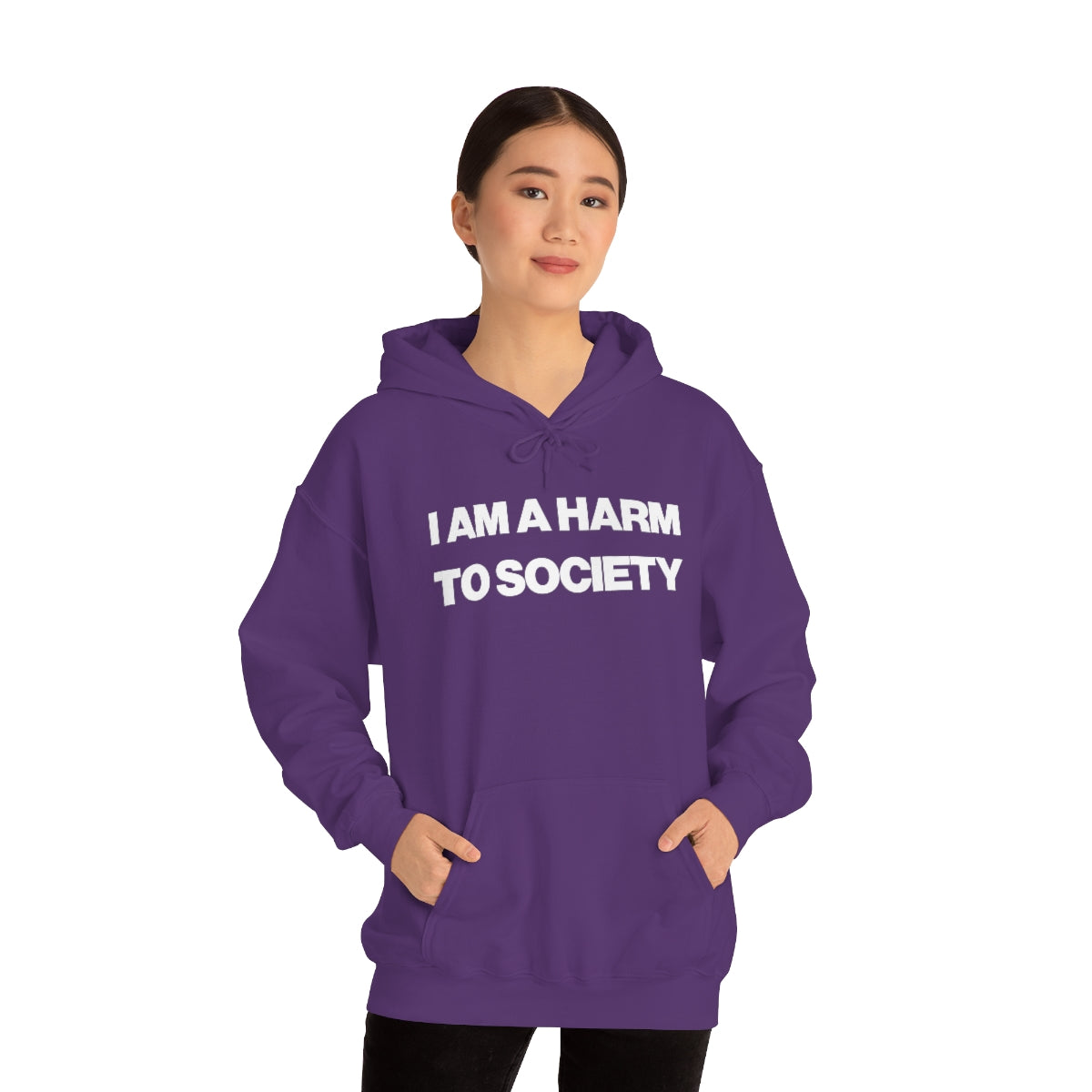 I AM A HARM TO SOCIETY HOODIE