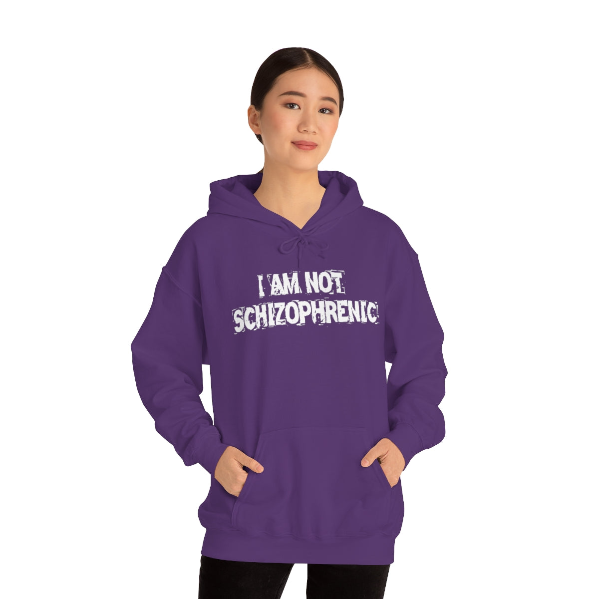 I AM NOT SCHIZOPHRENIC HOODIE