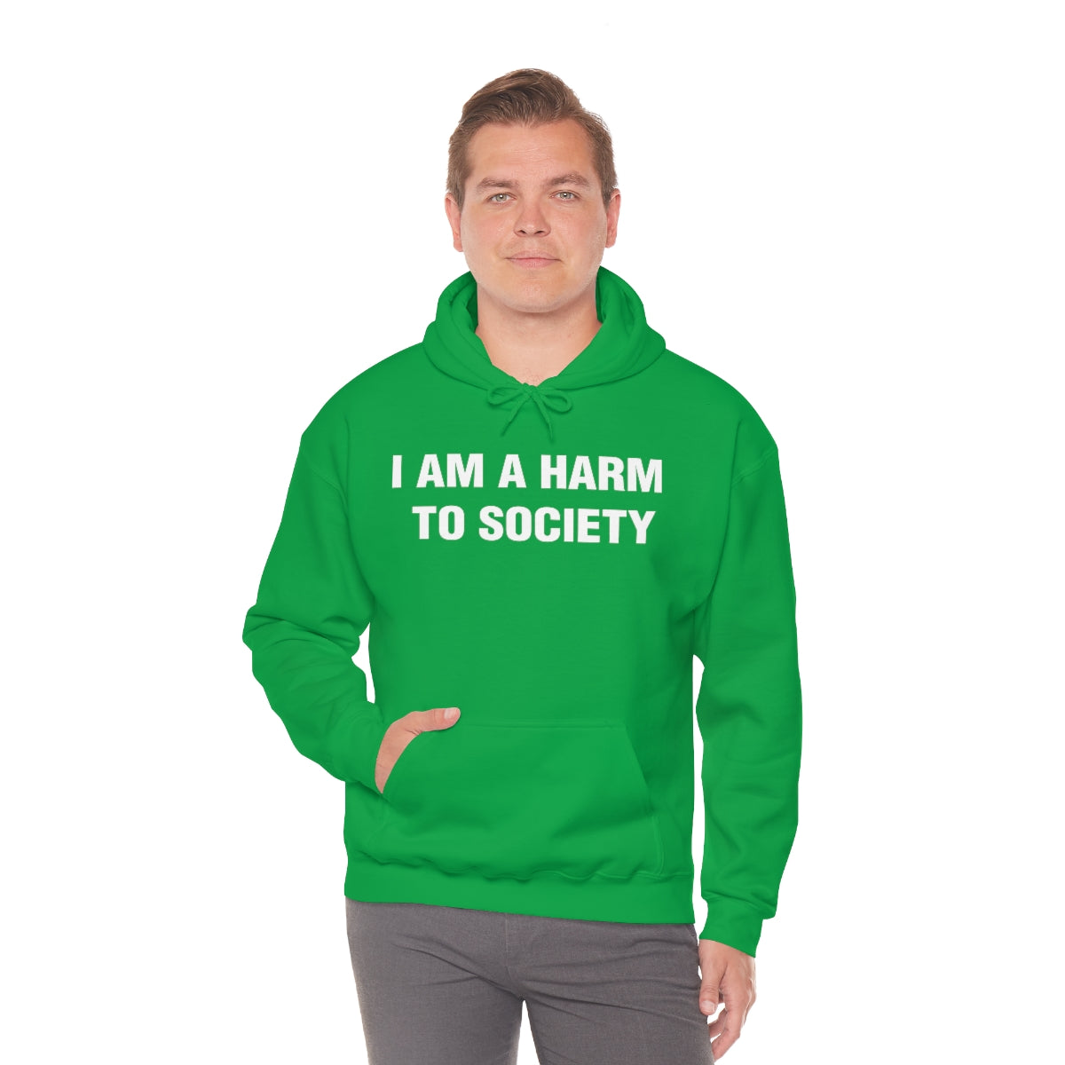 I AM A HARM  TO SOCIETY HOODIE