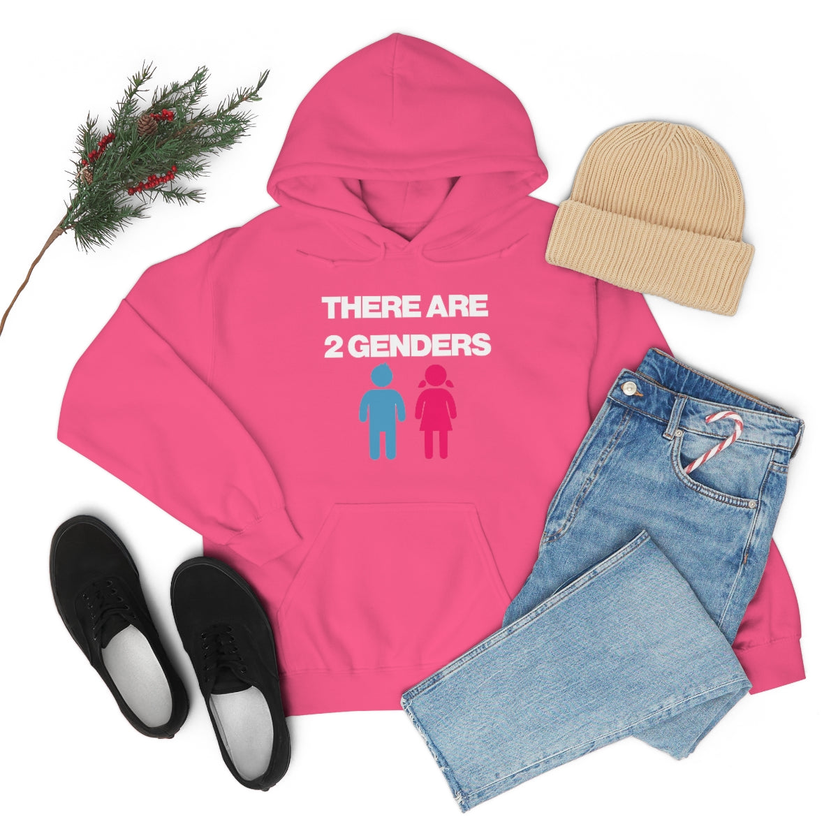 THERE ARE 2 GENDERS HOODIE