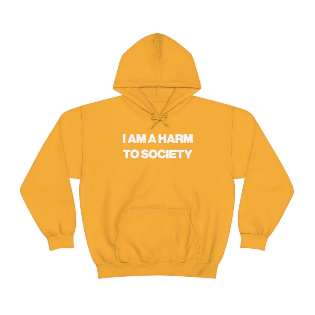 I AM A HARM TO SOCIETY HOODIE