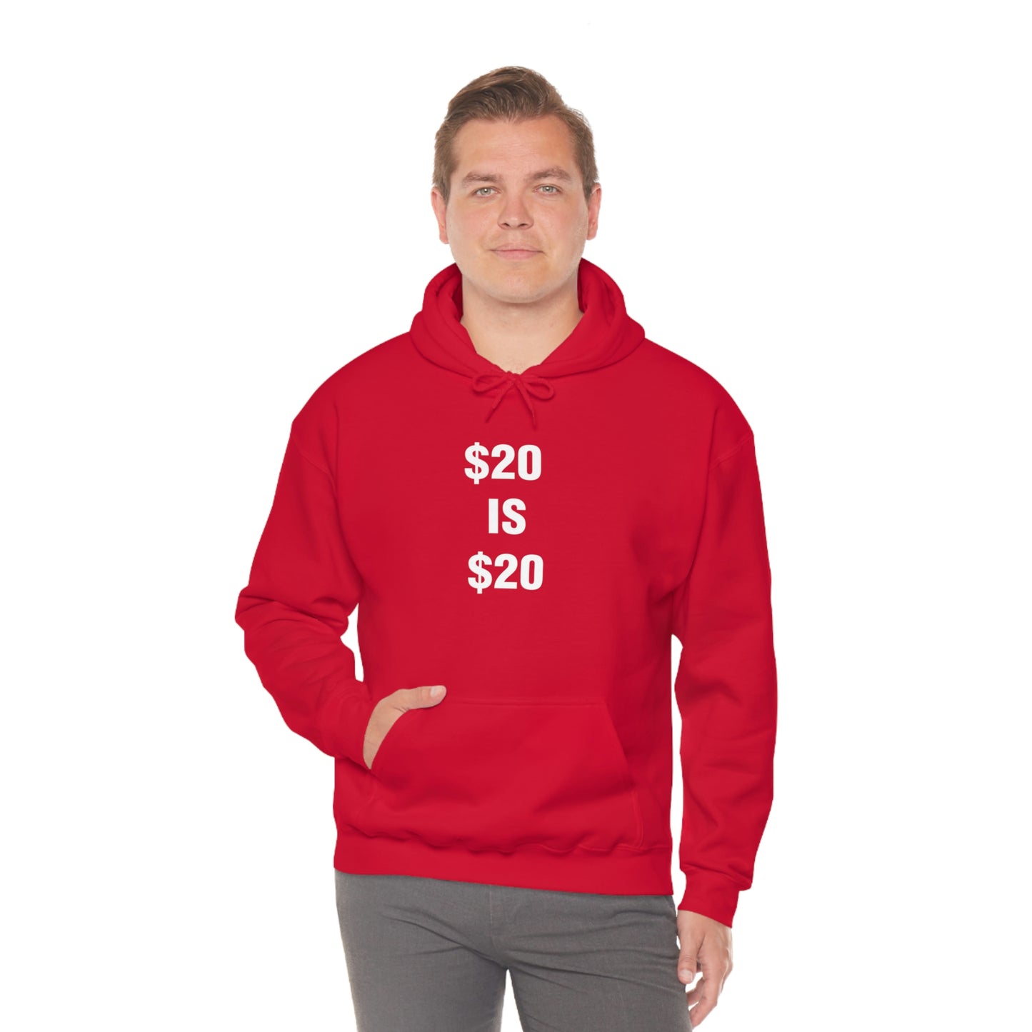 $20 IS $20 HOODIE