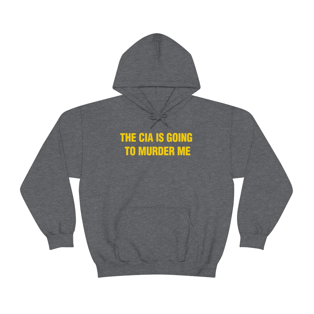 THE CIA IS GOING  TO MURDER ME HOODIE