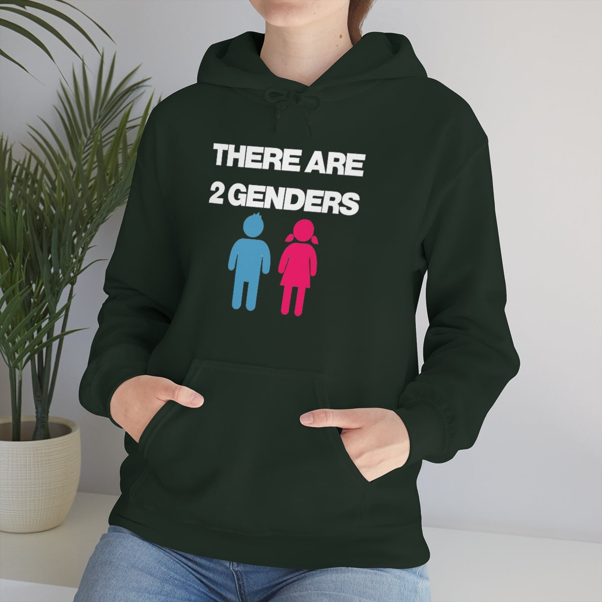 THERE ARE 2 GENDERS HOODIE