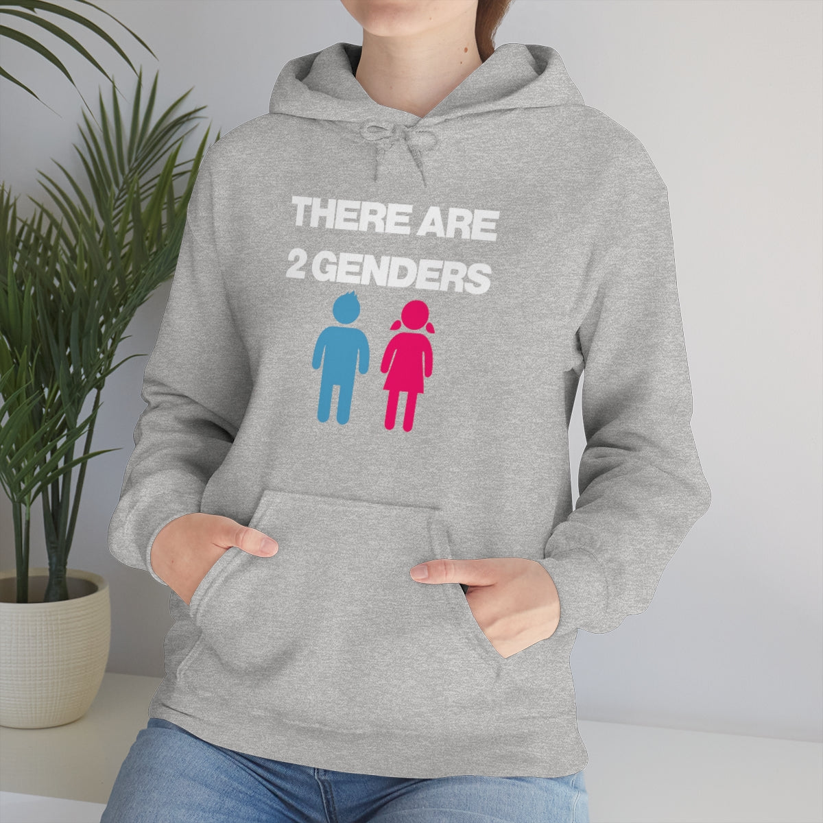 THERE ARE 2 GENDERS HOODIE