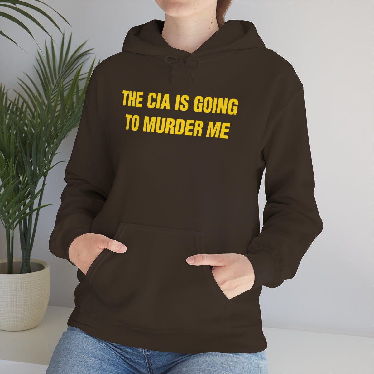 THE CIA IS GOING  TO MURDER ME HOODIE