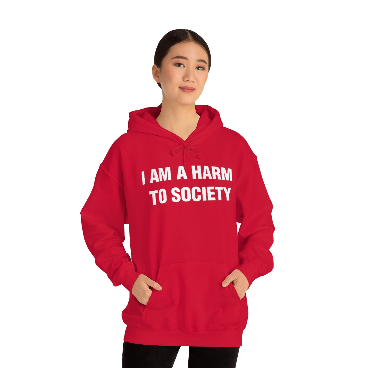 I AM A HARM  TO SOCIETY HOODIE