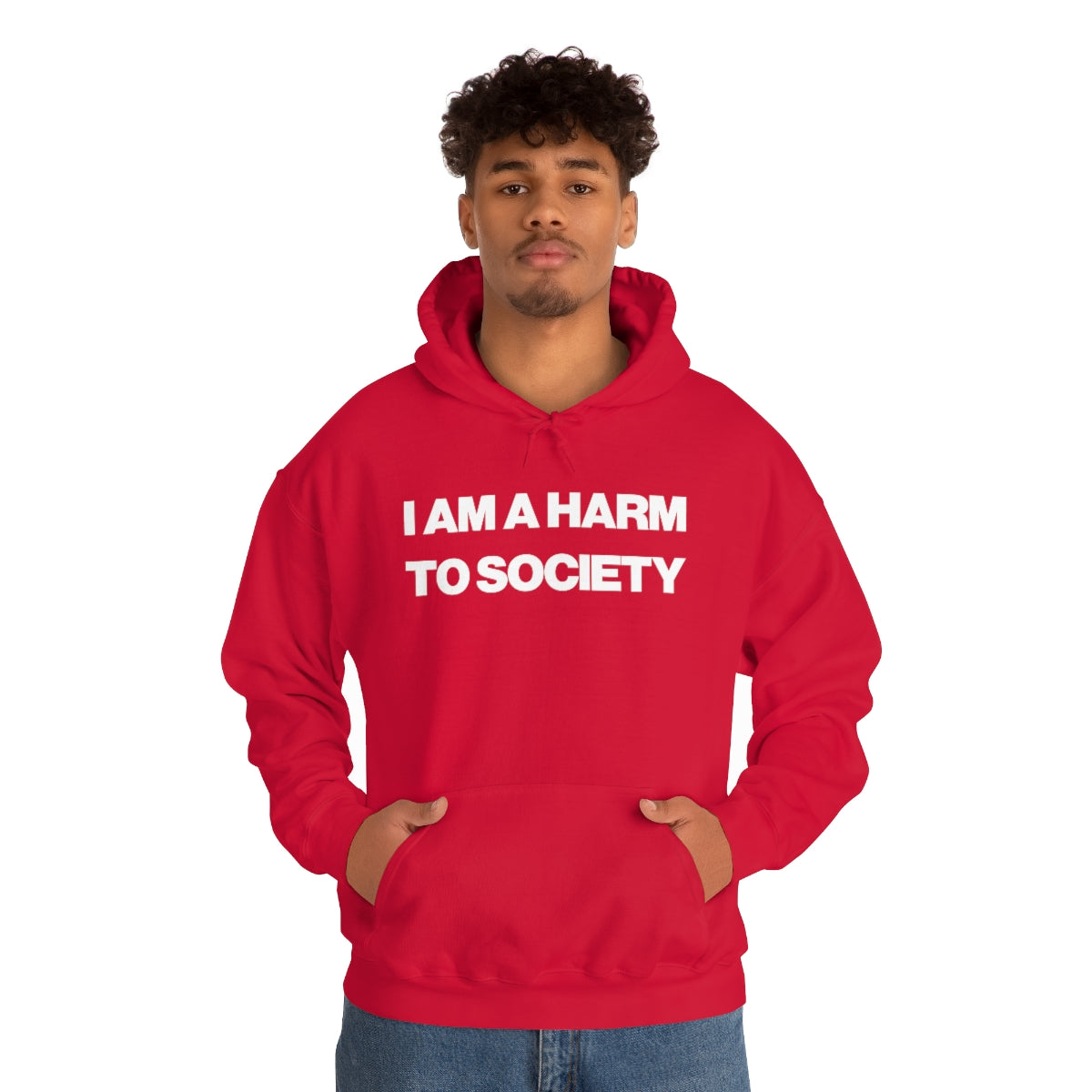 I AM A HARM TO SOCIETY HOODIE