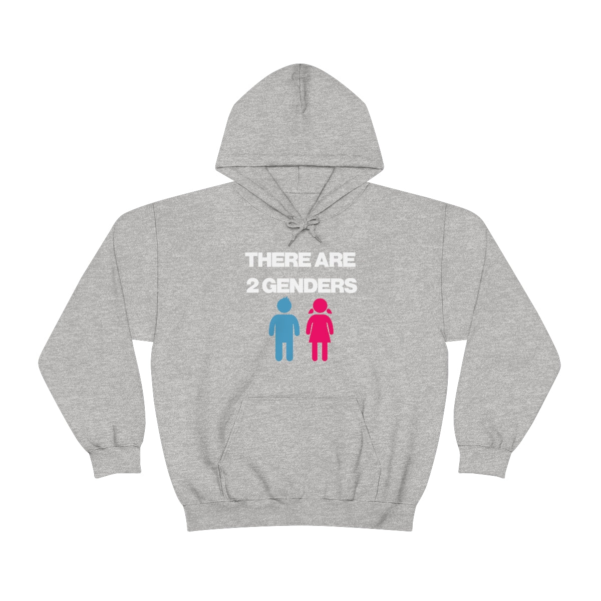 THERE ARE 2 GENDERS HOODIE