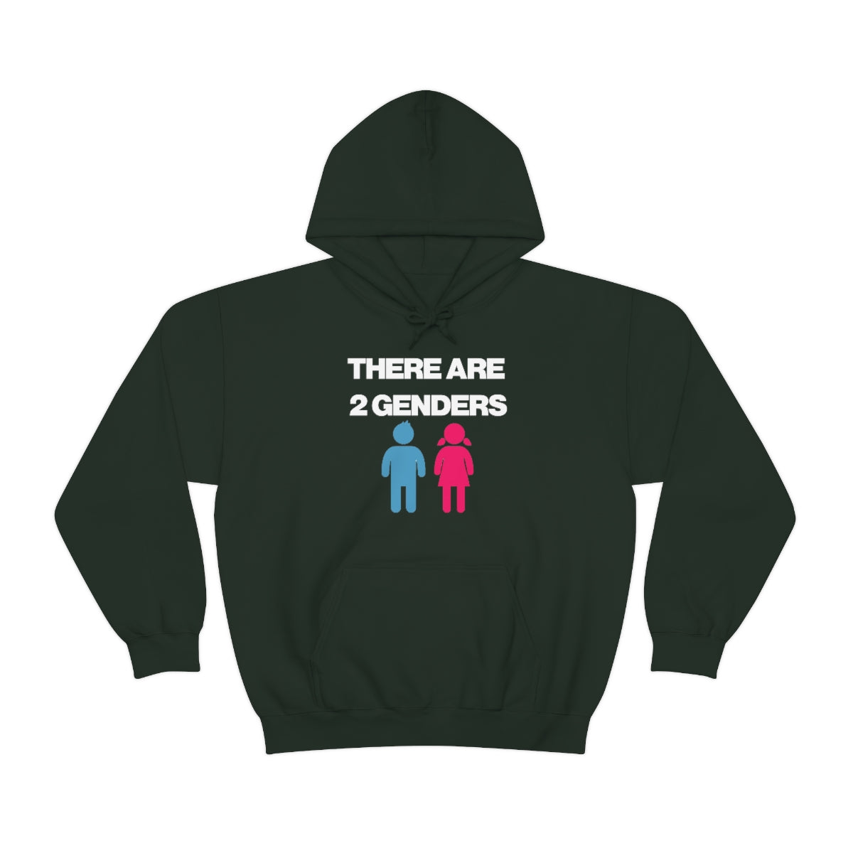 THERE ARE 2 GENDERS HOODIE